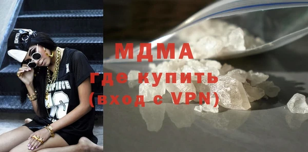 хмурый Аркадак