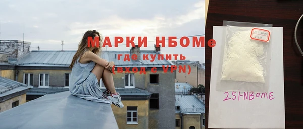 хмурый Аркадак