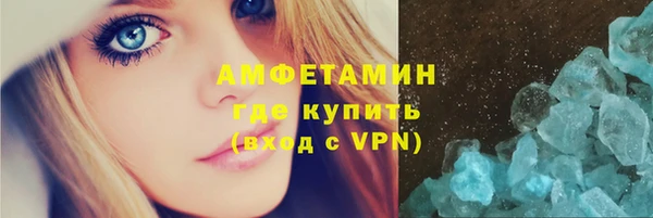 хмурый Аркадак