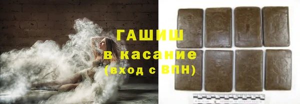 хмурый Аркадак