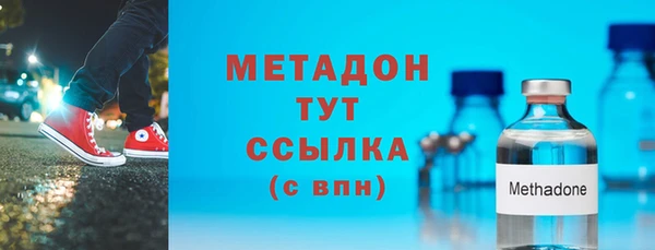 хмурый Аркадак
