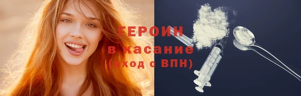 хмурый Аркадак