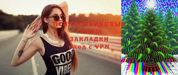 хмурый Аркадак
