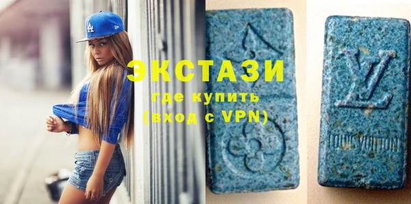 хмурый Аркадак