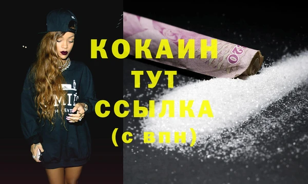 хмурый Аркадак