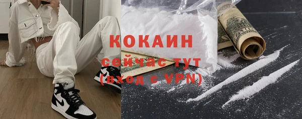 хмурый Аркадак